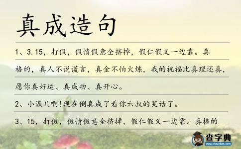 真成造句
