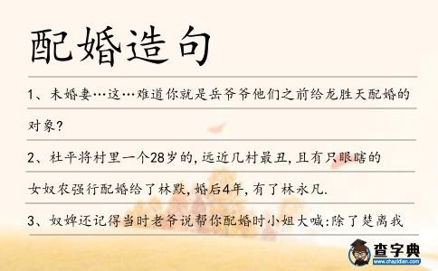 配婚造句
