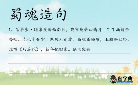 蜀魂造句