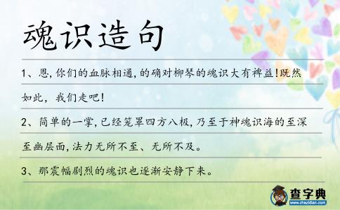 魂識造句