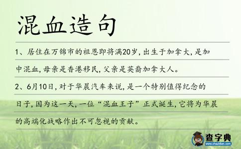 混血造句