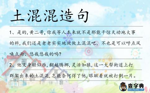 土混混造句