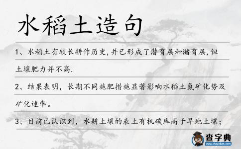 水稻土造句