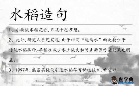 水稻造句