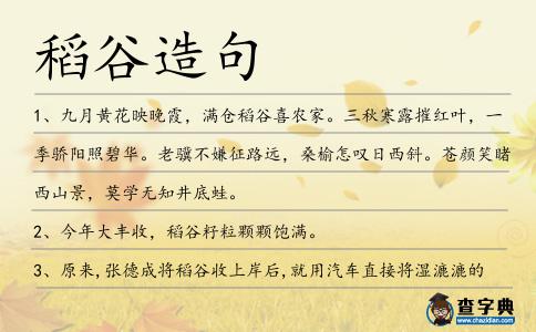 稻谷造句