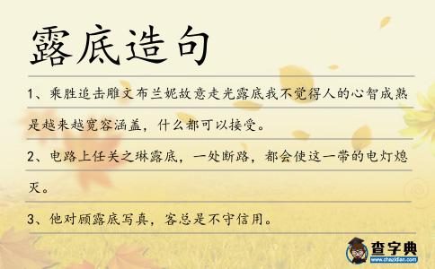 露底造句