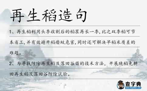 再生稻造句
