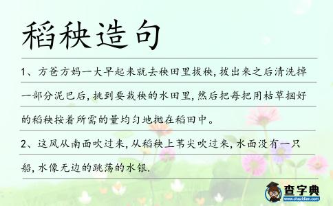 稻秧造句