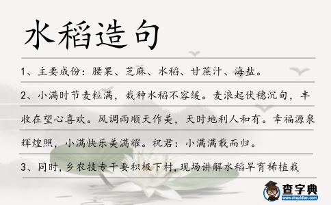 水稻造句