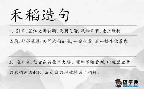 禾稻造句