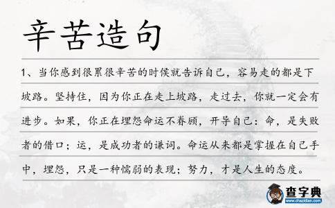 辛苦造句