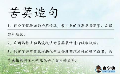 苦荬造句