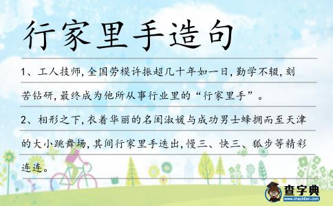 行家里手造句