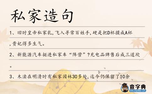 私家造句