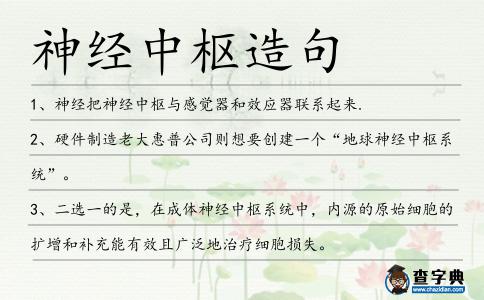 神經中樞造句