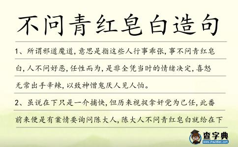 不問青紅皂白造句