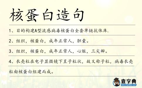 核蛋白造句