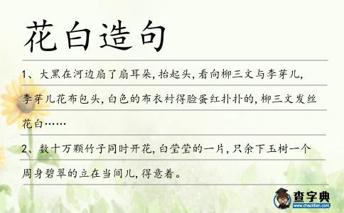 花白造句