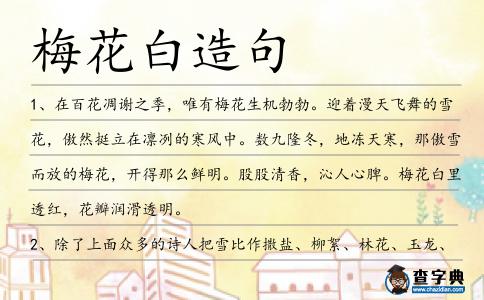 梅花白造句