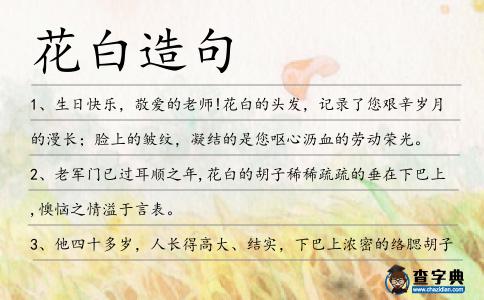 花白造句