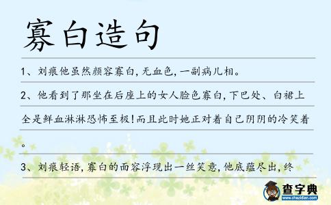 寡白造句