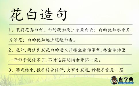 花白造句