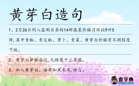 黃芽白造句