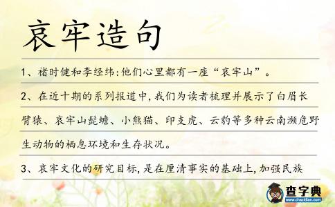 哀牢造句