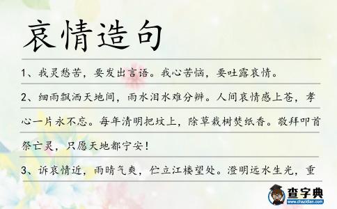 哀情造句