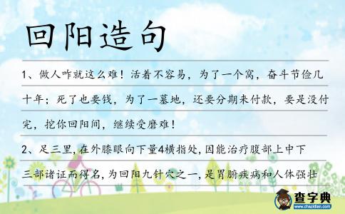 回陽造句
