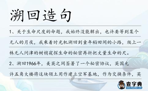 溯回造句