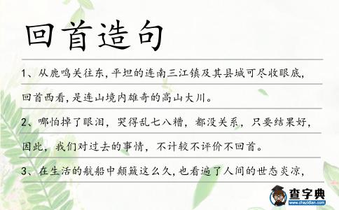 回首造句