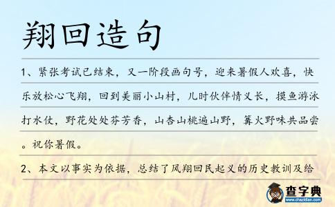翔回造句
