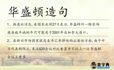 華盛頓造句