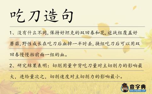 吃刀造句