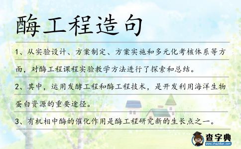 酶工程造句