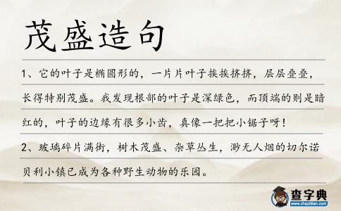 茂盛造句