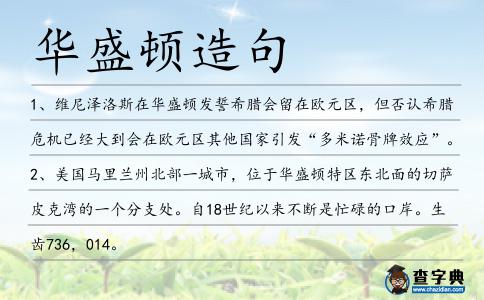 華盛頓造句