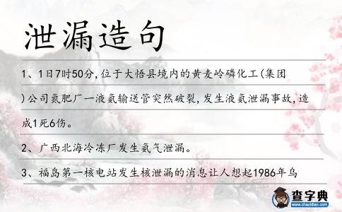 泄漏造句