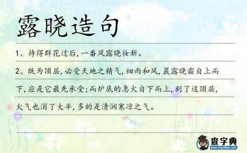 露曉造句