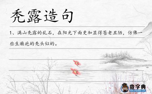 禿露造句
