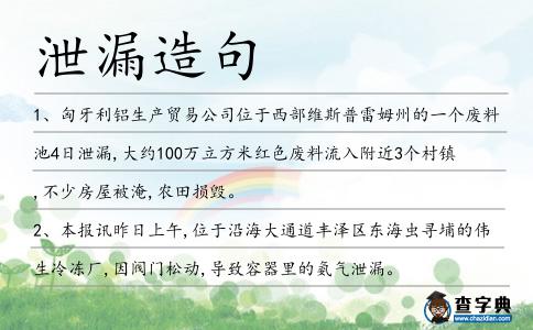 泄漏造句