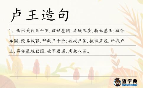 盧王造句