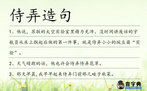 侍弄造句