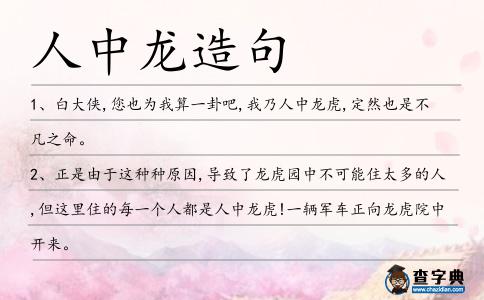人中龍造句