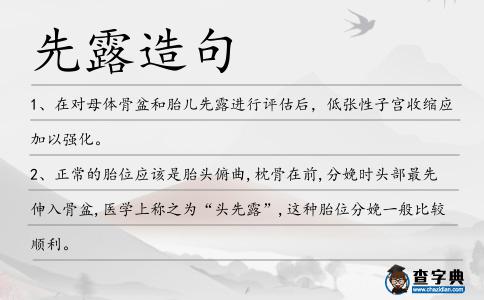 先露造句
