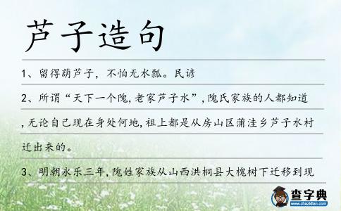 蘆子造句