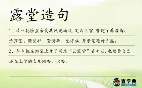 露堂造句