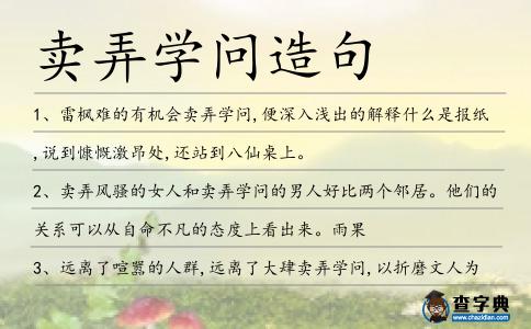 賣弄學問造句