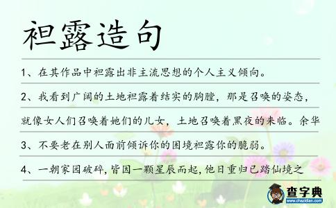袒露造句